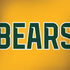 Baylor University Bears Surface Book 2 15in Skin
